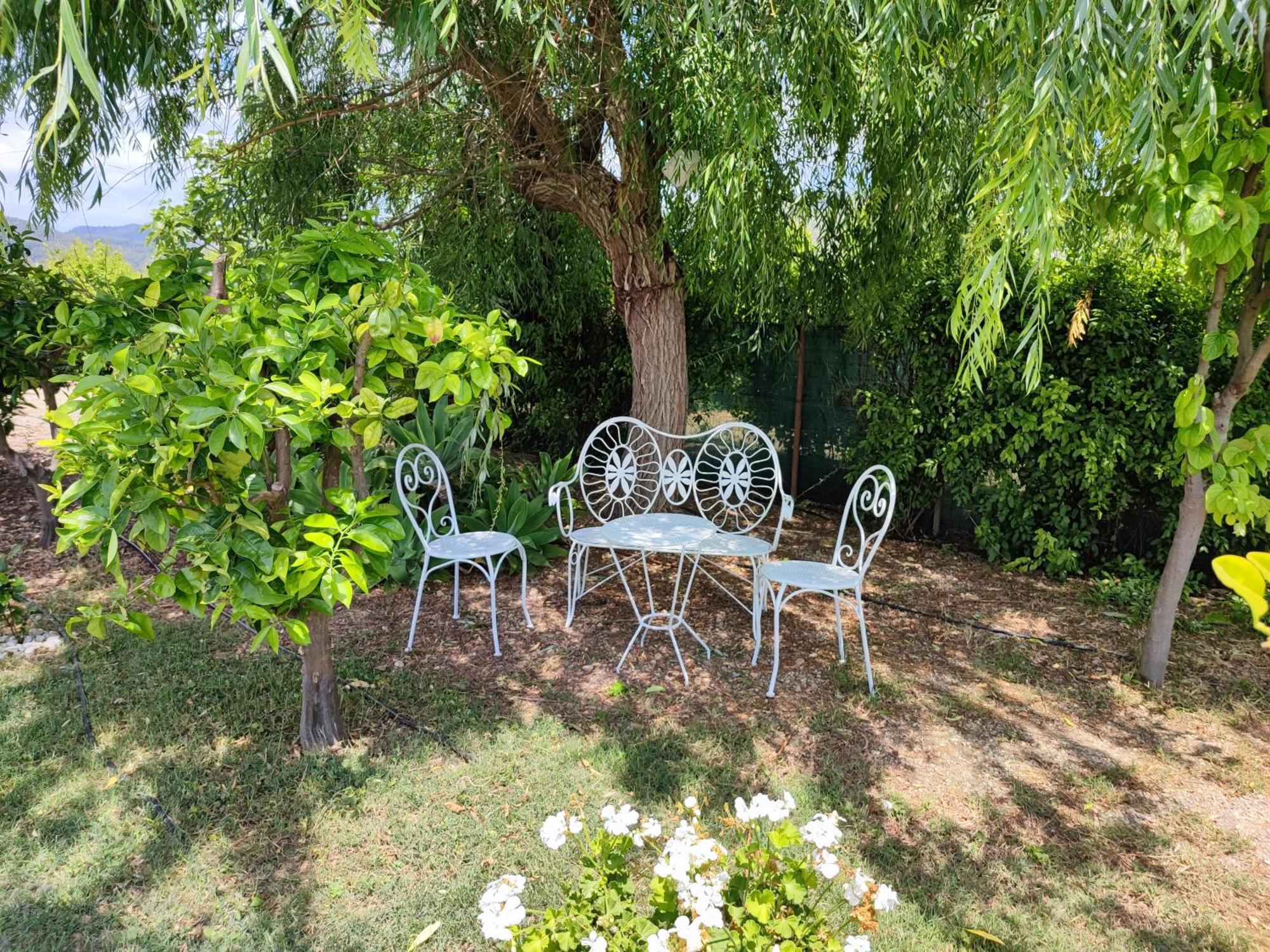 Вилла Els Tarongers Perfect For Families Or Friends Са-Побла Экстерьер фото